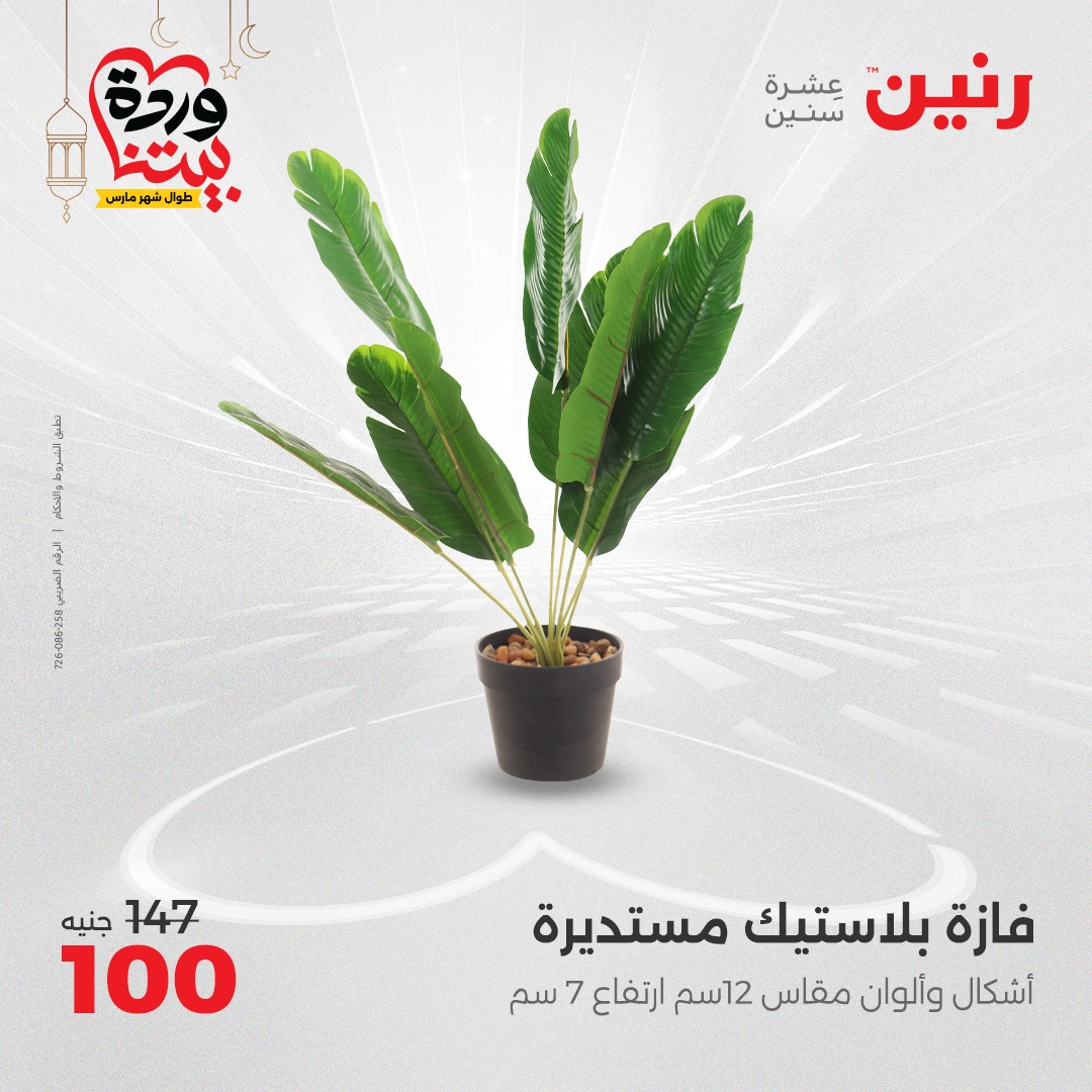 raneen offers from 23mar to 24mar 2025 عروض رنين من 23 مارس حتى 24 مارس 2025 صفحة رقم 31